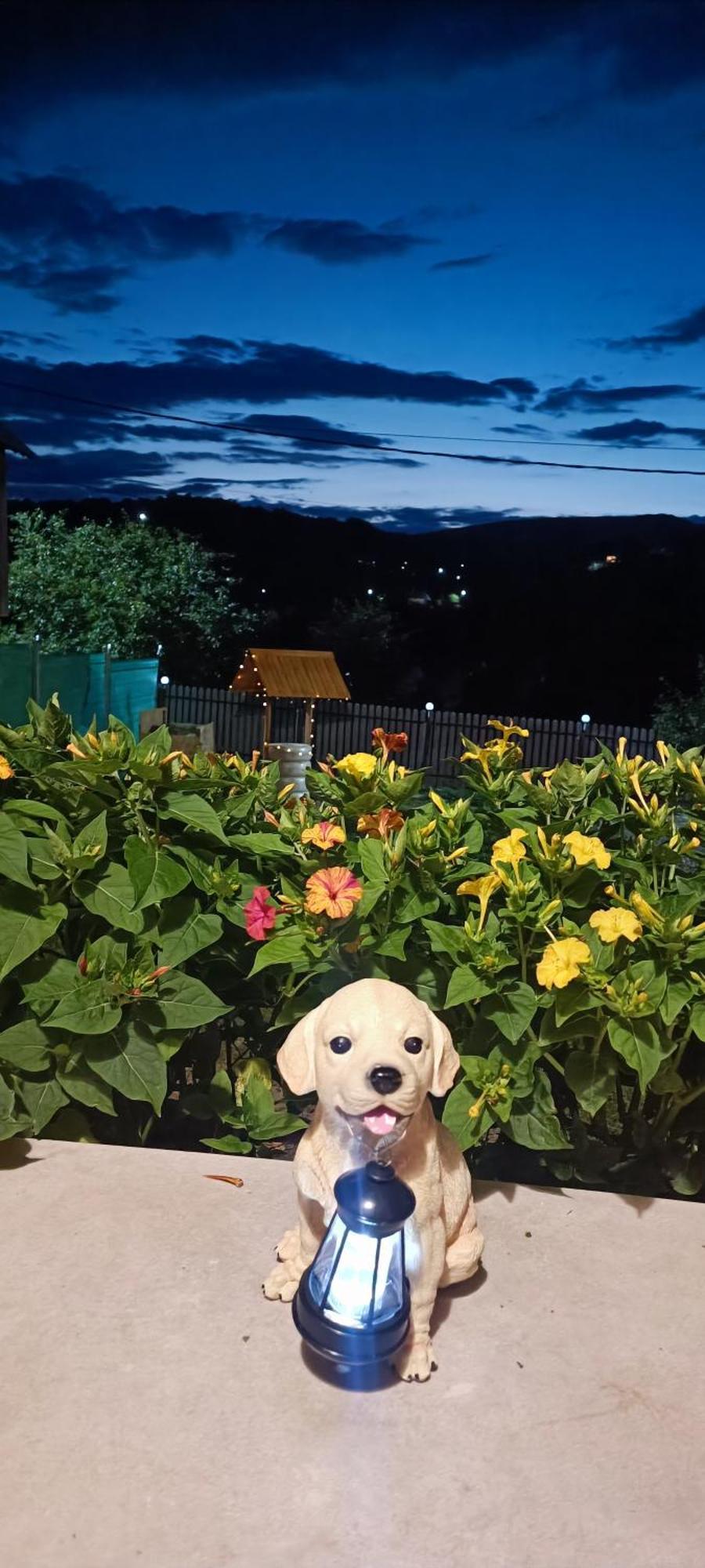 Casuta Din Livada Villa Secaria Exterior foto